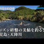 【おとな釣り倶楽部】鹿児島県天降川、シーズンに向けて南国の美鮎で膨らむ夢