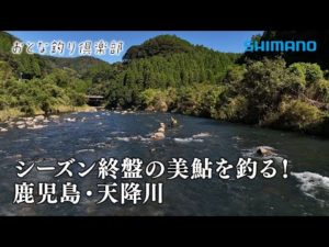 【おとな釣り倶楽部】鹿児島県天降川、シーズンに向けて南国の美鮎で膨らむ夢