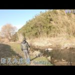 厚木市 相模川 ほほえみ広場で小物釣り。水温10度のこんな小さな小川なのに大漁って！