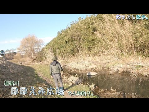厚木市 相模川 ほほえみ広場で小物釣り。水温10度のこんな小さな小川なのに大漁って!