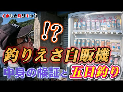 【謎の新鮮釣りえさ自販機】上天草の漁港で自販機で買った赤イソメとサビキ太郎を使って五目釣りをやってみた！