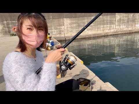 居酒屋の絶品料理を作りたくて釣りに行ったら周りを巻き込み過ぎた