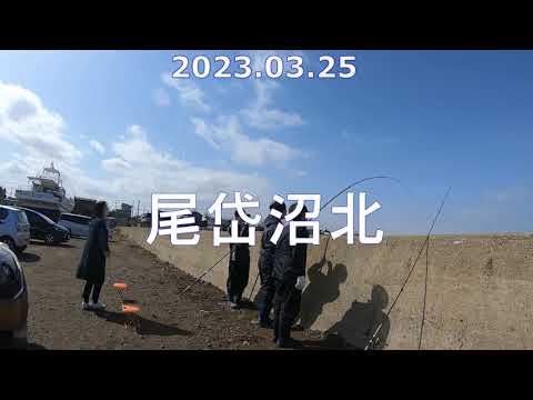 2023 03 25 カレイ釣り