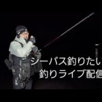 シーバス釣りたい！ライブ配信