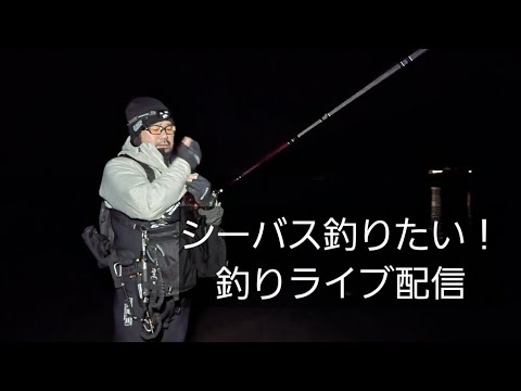 シーバス釣りたい！ライブ配信