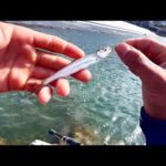 あの大物を釣りたい。