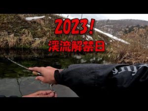 岩手の渓流解禁日はすごかった！！