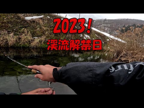 岩手の渓流解禁日はすごかった！！