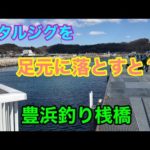 メタルジグを足元に落とすと？豊浜釣り桟橋 知多半島