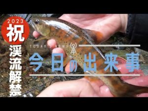 【釣り】2023渓流釣り解禁👍