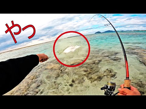 警戒心が強すぎる浅瀬のぬしを釣って食う