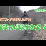 解禁の宮城の渓流を釣る / 宮城の渓流 / みちのく釣りの旅  ﾌﾗｲﾌｨｯｼﾝｸﾞ渓流釣り(4K) fly fishing