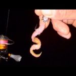 これは最強の釣りです。