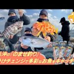 【フィッシングトリップ】宿毛沖の『のませ釣り』仕掛けチェンジで多彩なお魚をキャッチ‼︎