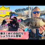 【エビ撒き釣り】No.55→このゾーン難しいけど、めちゃアタリあるー－－ｗｗｗ