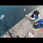 アジを狙った足元は旬の50㎝が入れ喰いする巣窟だった！！