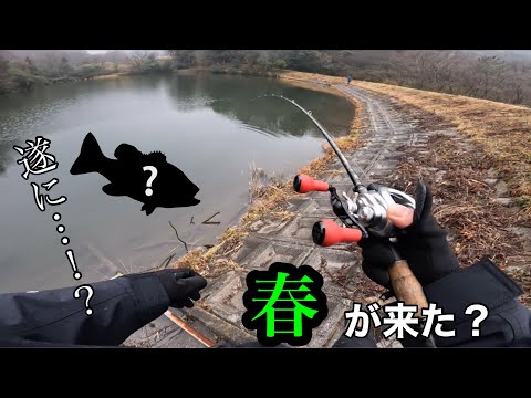 【バス釣り】遂に…春が来た?