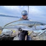 VS長崎県五島列島のヒラマサ【釣りビジョン番組紹介】