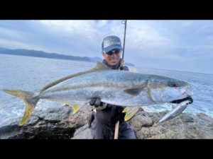 VS長崎県五島列島のヒラマサ【釣りビジョン番組紹介】