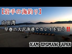 【岩手の海釣り】山田湾 早春の大沢漁港でカレイを狙う‼️