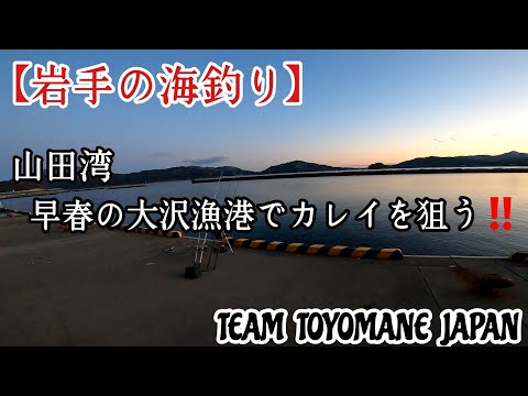 【岩手の海釣り】山田湾   早春の大沢漁港でカレイを狙う‼️