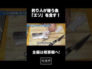 釣り人が嫌う魚「エソ」を食す! #shorts