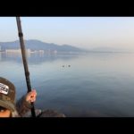 琵琶湖バス釣りライブR5-3/11