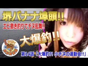 【堺バナナ埠頭】爆釣!!チヌ乱舞!!みんなで楽しくエビ撒き釣り♪第14話「大爆釣?! 小チヌの運動会!!」