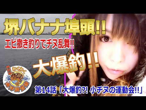 【堺バナナ埠頭】爆釣!!チヌ乱舞!!みんなで楽しくエビ撒き釣り♪第14話「大爆釣?! 小チヌの運動会!!」