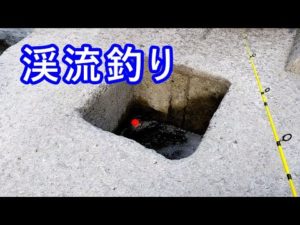 渓流釣り「穴には、鱒がいる！」 Trout Fishing at Hole.