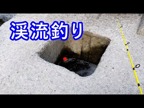 渓流釣り「穴には、鱒がいる！」 Trout Fishing at Hole.