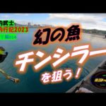 【沖縄釣り】幻の魚チンシラーを狙う！　沖縄釣武士撃沈釣行記2023　チヌ釣り編014