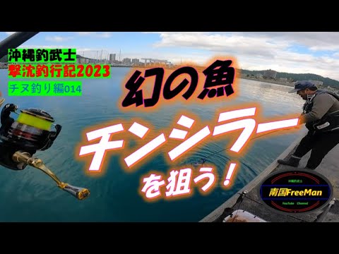 【沖縄釣り】幻の魚チンシラーを狙う！　沖縄釣武士撃沈釣行記2023　チヌ釣り編014