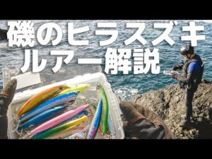 磯のヒラスズキ釣りで使うおススメルアーの紹介や解説をします。
