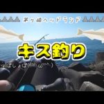茅ヶ崎ヘッドランドでキス釣り【2023年2月】