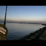 琵琶湖バス釣りライブR5-3/14