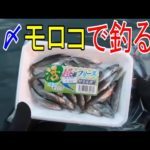 【船釣り】地味な釣りの動画ですが良かったら観てください