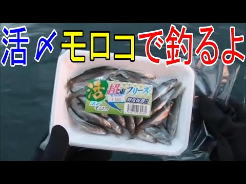 【船釣り】地味な釣りの動画ですが良かったら観てください