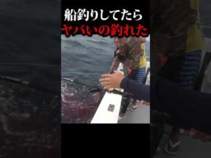 普通に船釣りしてたらヤバいの釣れた... #shorts