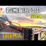 3月の若洲海浜公園｜ほぼ無人の釣り施設で最後に釣れたのはまさかの・・