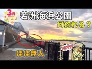 3月の若洲海浜公園｜ほぼ無人の釣り施設で最後に釣れたのはまさかの・・