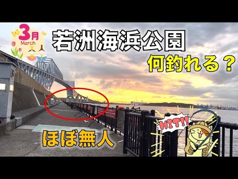 3月の若洲海浜公園｜ほぼ無人の釣り施設で最後に釣れたのはまさかの・・