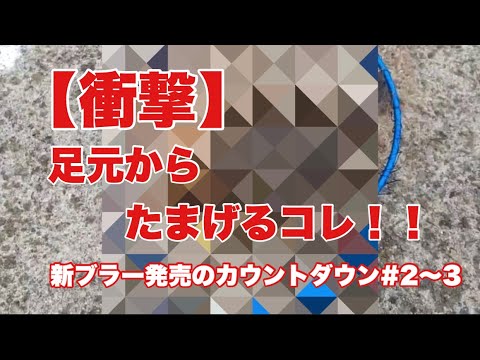 【函館釣り】FUJIWARA新ブラー発売のカウントダウン#2〜3