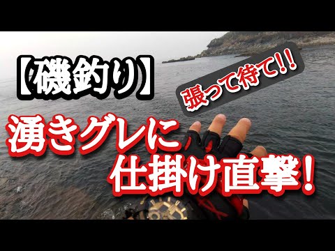 【磯釣り】出たな湧きグレ！釣るぞ～！大瀬戸ウー瀬、水道の真ん中。
