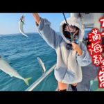 Shark 小鯊魚又出現了 海釣3小時冰箱就滿了 MancingIkan​ 【跟我去釣魚】新手推薦海釣抖抖魚來了 美味竹筴魚、鯖魚滿海都是拉爽爽 #泰山源豐釣具 #漁人碼頭 #漁人號