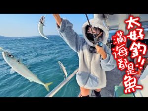 Shark 小鯊魚又出現了 海釣3小時冰箱就滿了 MancingIkan​ 【跟我去釣魚】新手推薦海釣抖抖魚來了 美味竹筴魚、鯖魚滿海都是拉爽爽 #泰山源豐釣具 #漁人碼頭 #漁人號