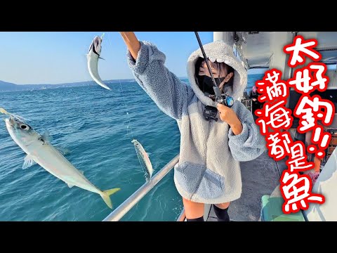Shark 小鯊魚又出現了 海釣3小時冰箱就滿了 MancingIkan​ 【跟我去釣魚】新手推薦海釣抖抖魚來了 美味竹筴魚、鯖魚滿海都是拉爽爽 #泰山源豐釣具 #漁人碼頭 #漁人號