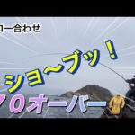 ［石鯛釣り］　ワンチャ〜ンス！７０オーバー 西日本釣博行きたかった⤴️