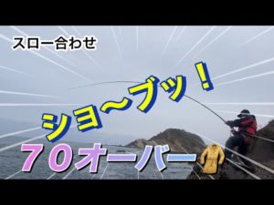 ［石鯛釣り］　ワンチャ〜ンス！７０オーバー 西日本釣博行きたかった⤴️