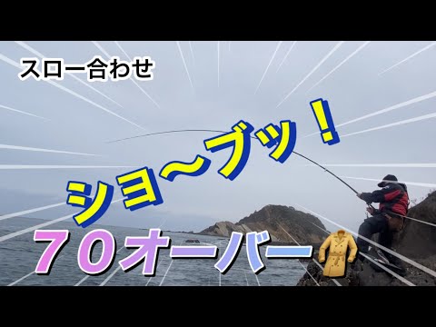 ［石鯛釣り］　ワンチャ〜ンス！７０オーバー 西日本釣博行きたかった⤴️